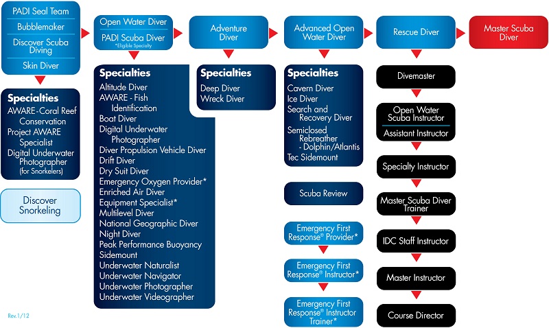 Tableau des Formations PADI