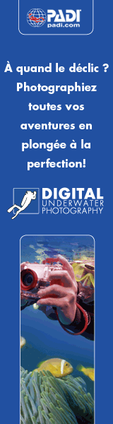 Image photo numérique Image photo numérique