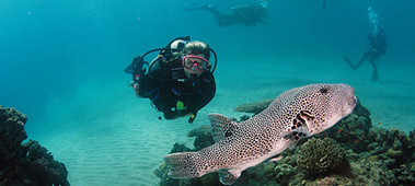 Plongée Aventure / Adventure Diving