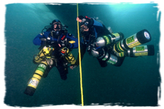 TDI Advanced Trimi - Trimi Avancé