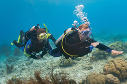 Navigation sous-marine / Underwater Diver PAD