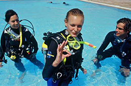 Discover Scuba Diving PADI